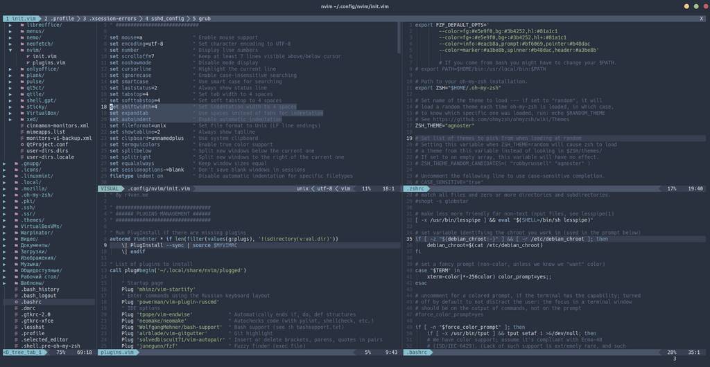 Neovim — Установка и настройка редактора кода с элементами IDE всего в несколько команд 