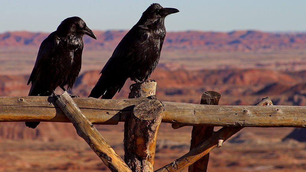 Как жить в режиме стресса — мысли 